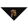 SOL'S Bandana Thumbnail