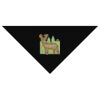 SOL'S Bandana Thumbnail