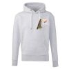 Anthem Organic Hoodie Thumbnail